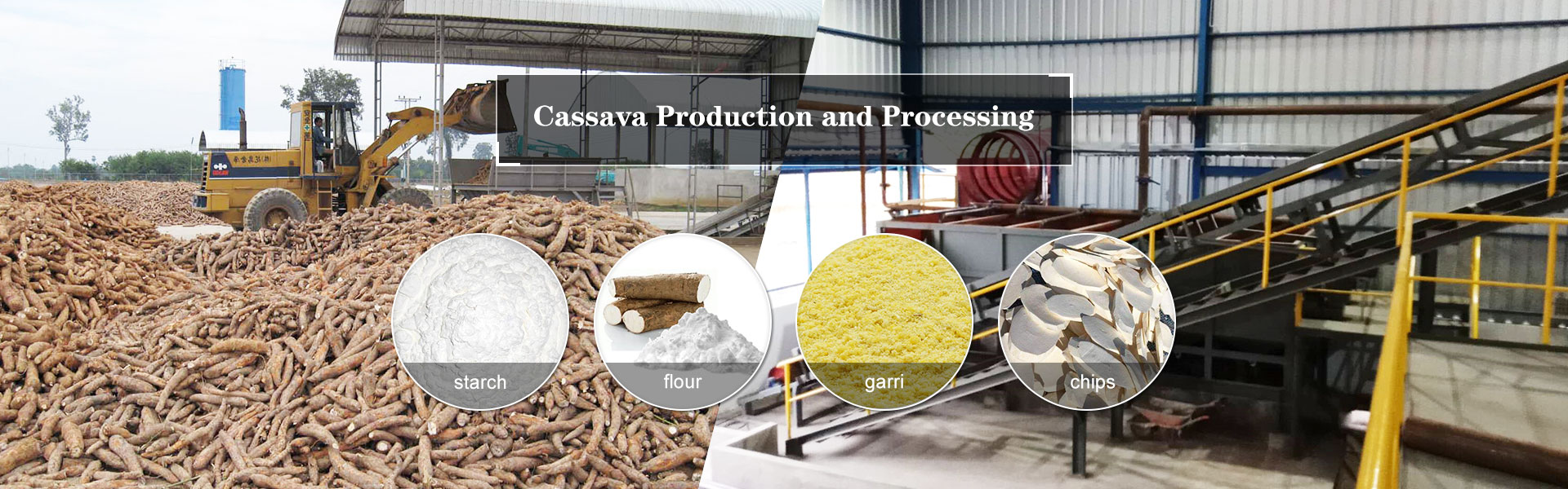 cassava flour making machine