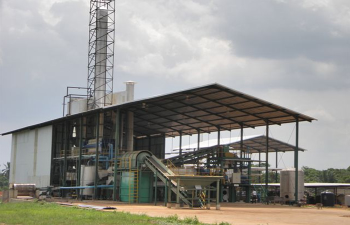 Establishment of a cassava starch factory suggestion