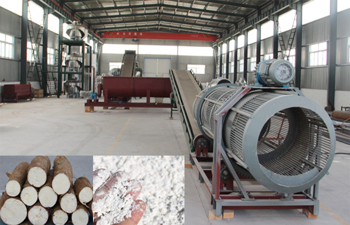 What are the steps of making cassava flour ?