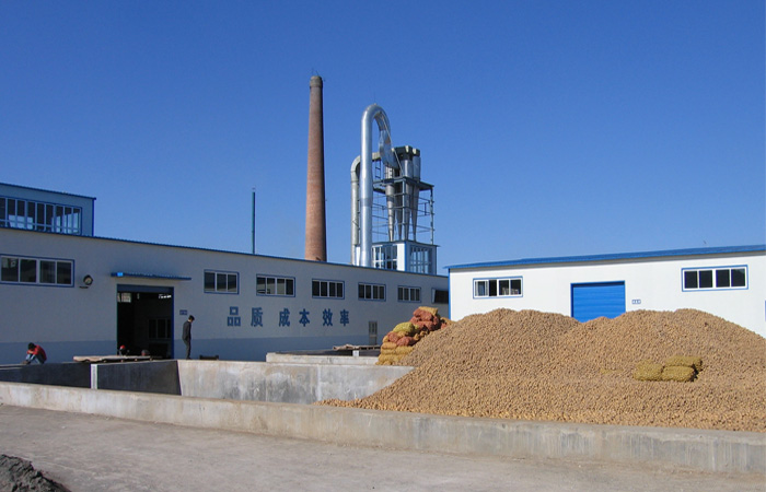 Cassava processing companies in Ghana