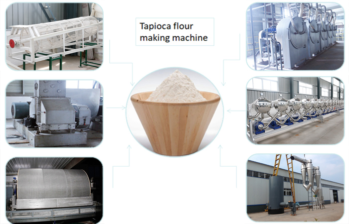 How cassava processing into tapioca