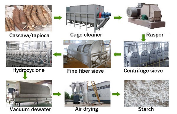 cassava starch production process