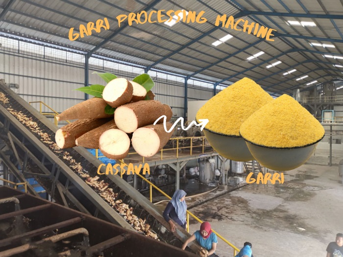 Cassava Processing Machinery Runing Video Cassava Flour Starch Garri Processing Machine Video