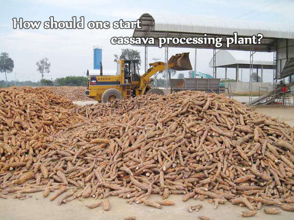 How should one start cassava processing plant?