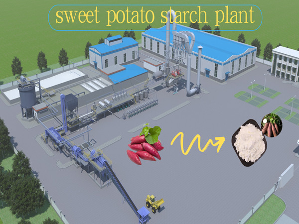 Sweet potato starch plant production process(3D video)