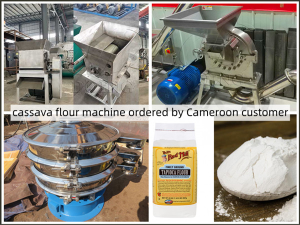 Cameroon customer ordered cassava flour processing machine from Henan Jinrui