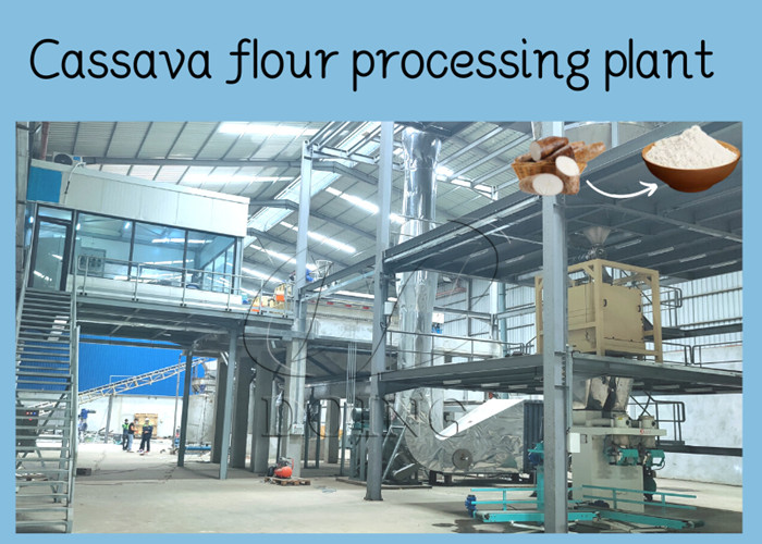 Cassava flour processing plant