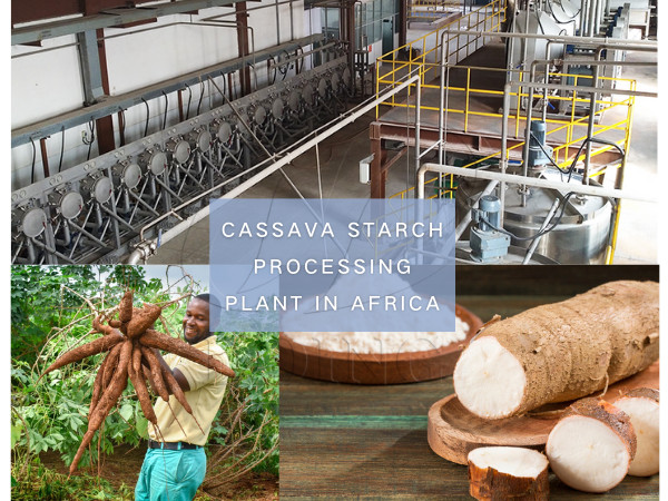 The Preparation Method Of Edible Cassava Starch FAQ