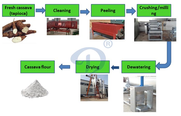 cassava flour processing machine and the main chart flow